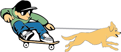 Logo displays a professional skater skating with his dog alongside.